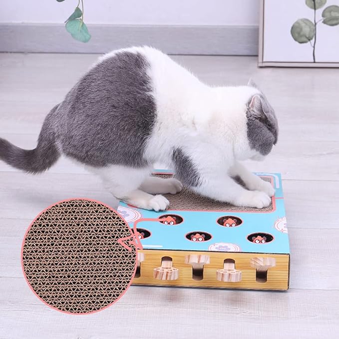 Katze spielt freudig mit dem WhiskerPlay interaktiven Katzenspielzeug. Ein toller Spielplatz für Haustiere.