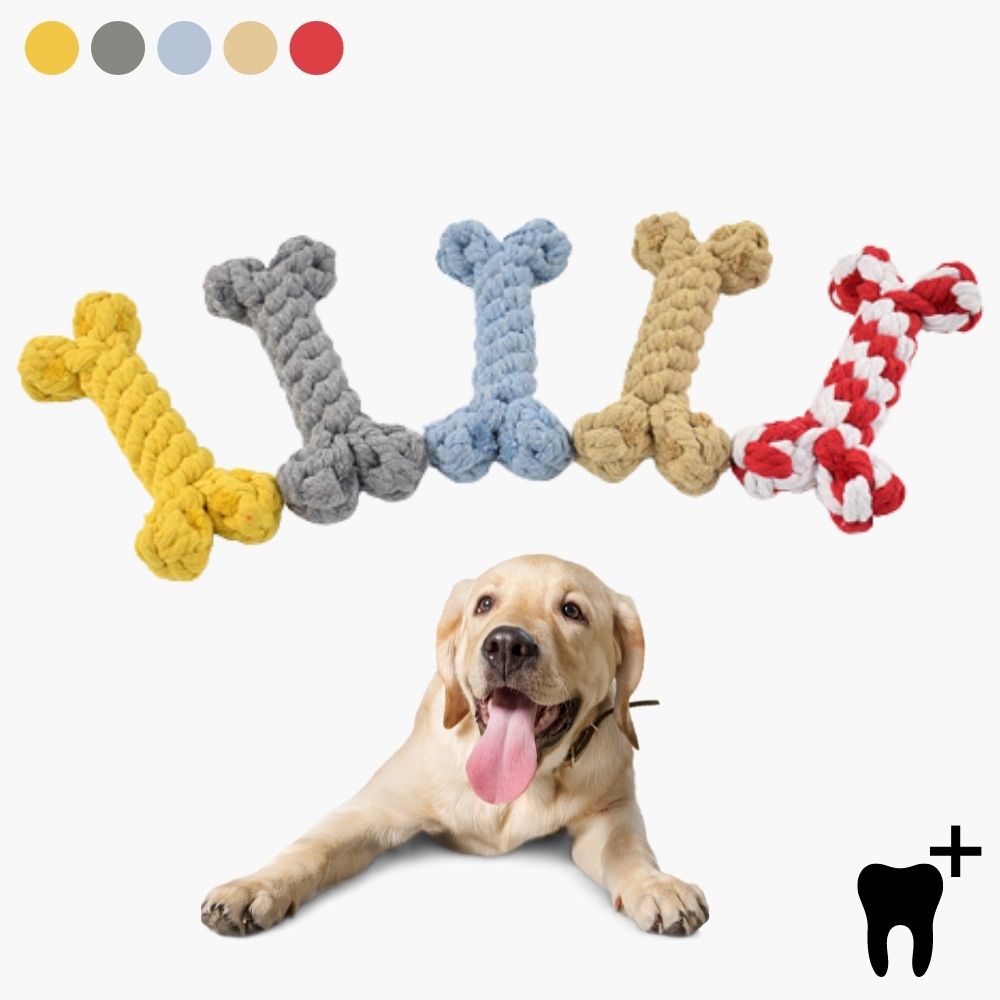 Zahnpflege-Kauspielzeug CleanChew für Hunde reinigt Zähne beim Spielen. Robustes Hundespielzeug für Zahngesundheit.