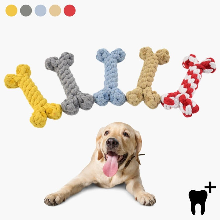 Zahnpflege-Kauspielzeug CleanChew für Hunde reinigt Zähne beim Spielen. Robustes Hundespielzeug für Zahngesundheit.