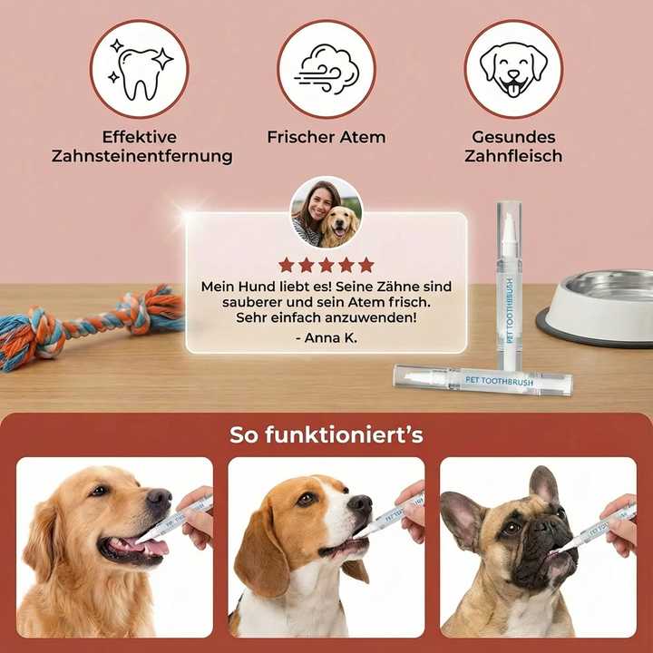 Besitzerin pflegt Katze mit Zahnpflege-Stift für gesunde Zähne & Plaque-Reduktion. Ideale Tierpflege.