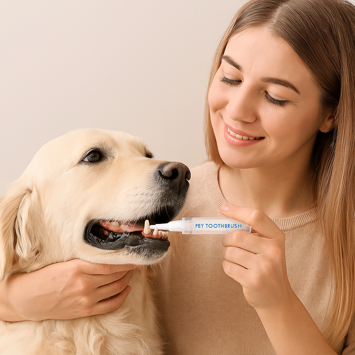 Zahnpflegestift für Hunde & Katzen gegen Zahnstein & Mundgeruch für gesunde Zähne & frischen Atem.