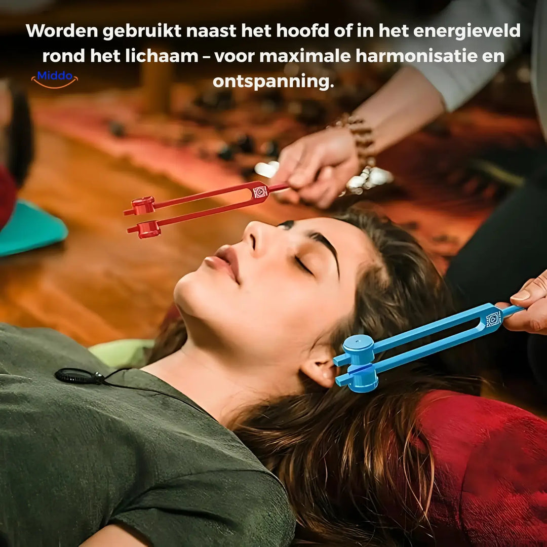 Hochwertige Stimmgabel zur Förderung von Ruhe, Wellness & Gesundheit.